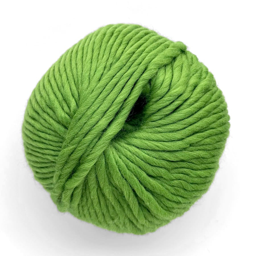 Wool and the Gang Crazy Sexy Wool - Loop Yarn