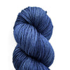 Loop Tendril