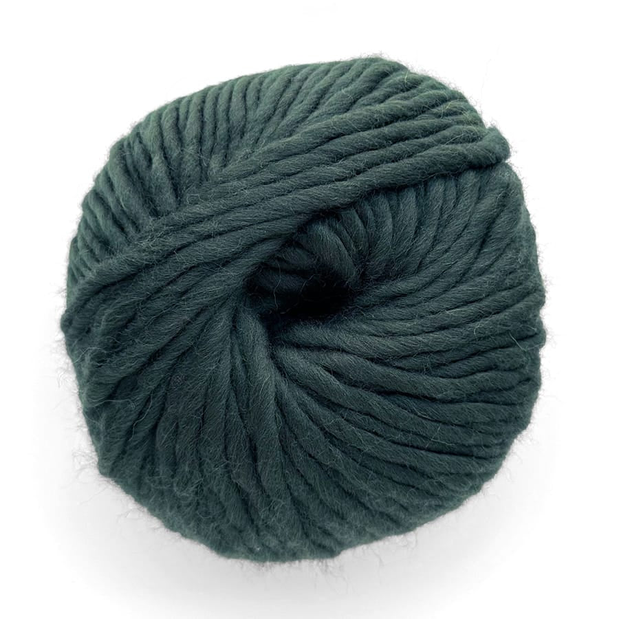 Wool and the Gang Crazy Sexy Wool - Loop Yarn