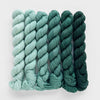 Fiberstory Gradient Sets