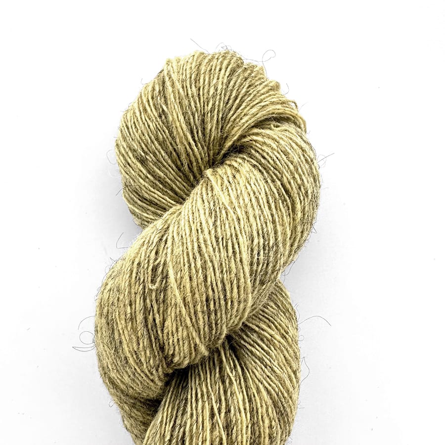 Isager Spinni